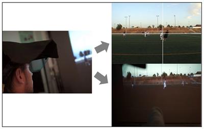 Influence of Video Speeds on Visual Behavior and Decision-Making of Amateur Assistant Referees Judging Offside Events